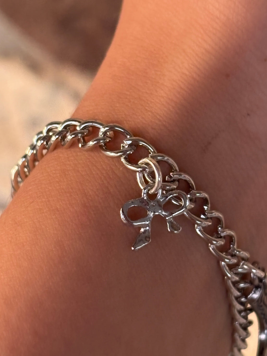 Desert Darlin Charm Bracelet